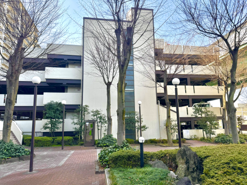 �p�[�N�V�e�B����A�� �����}���V����