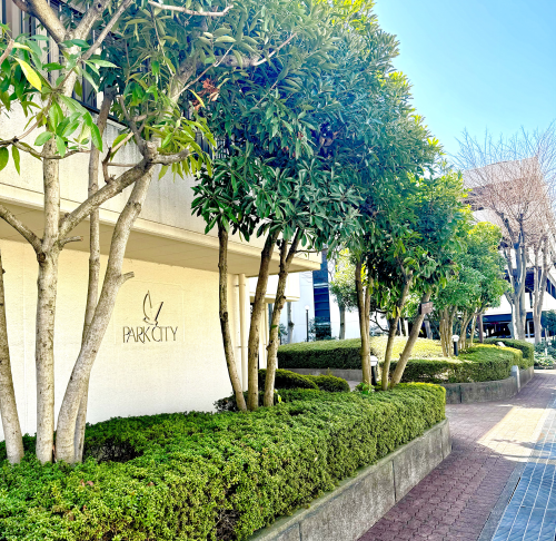 �p�[�N�V�e�B����A�� �����}���V����